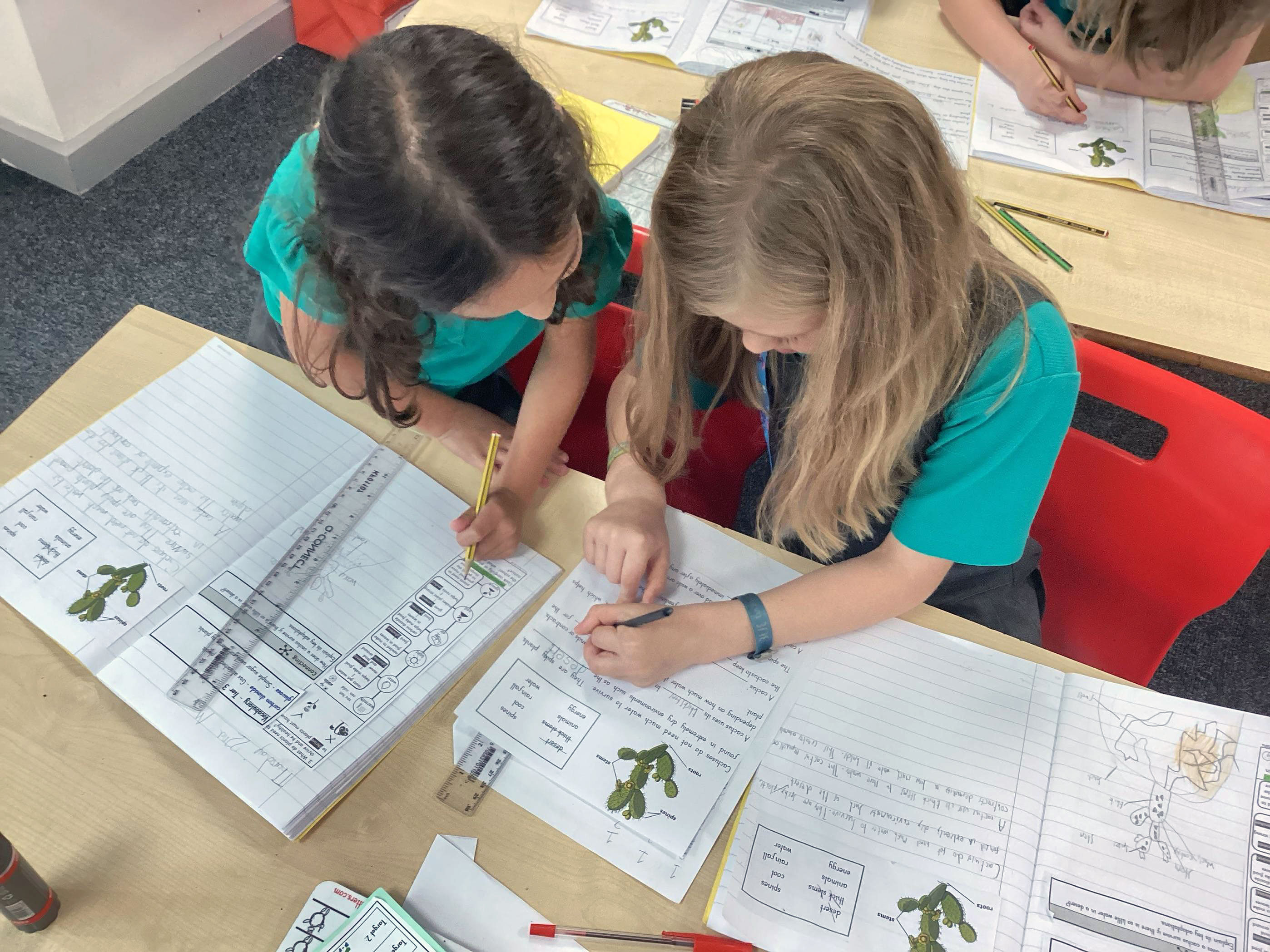 Welcome to Ham Dingle Primary School